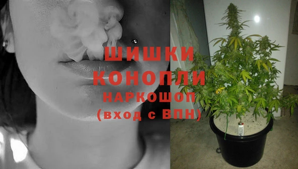 шишки Абинск