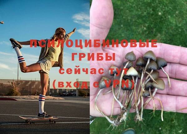 синтетический гашиш Приозерск