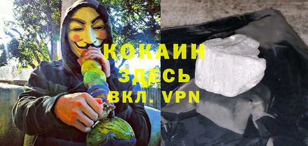 шишки Абинск