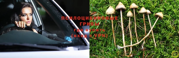 шишки Абинск