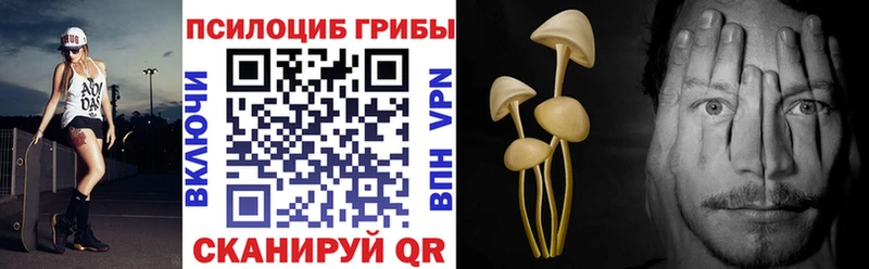 Псилоцибиновые грибы мицелий  кракен вход  Власиха 